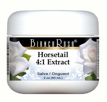 Extra Strength Horsetail (Shavegrass Silica) 4:1 Extract - Salve Ointment