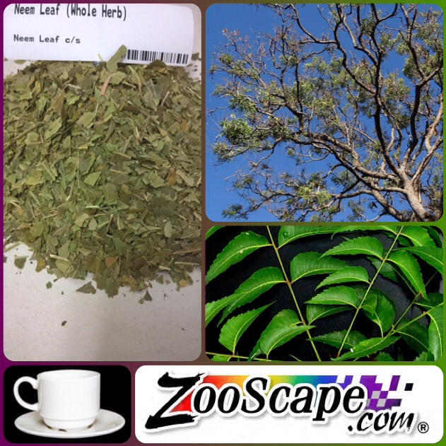 Neem Leaf (Organic) Tea