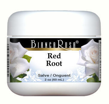 Red Root (New Jersey Tea) - Salve Ointment