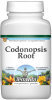 Codonopsis Root Powder