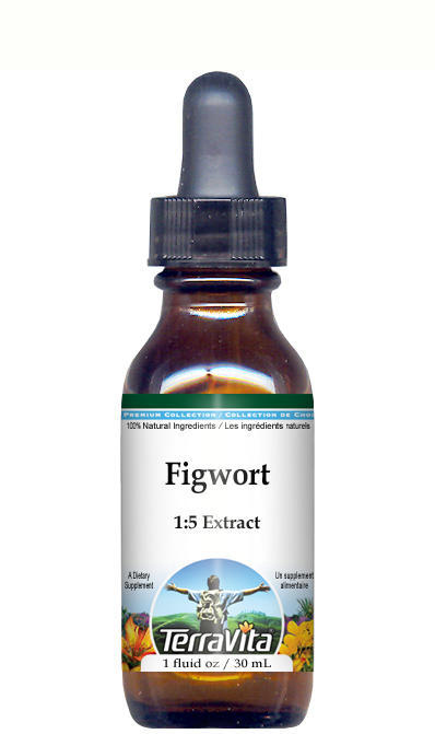 Figwort Glycerite Liquid Extract (1:5)