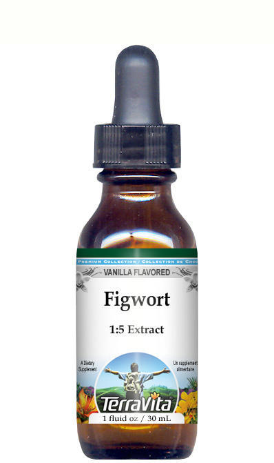 Figwort Glycerite Liquid Extract (1:5)