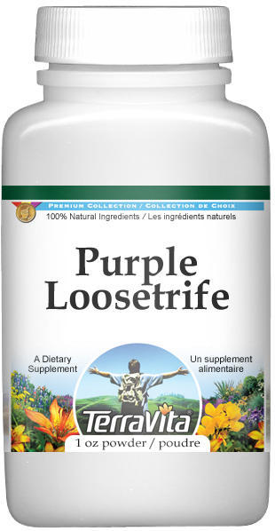 Purple Loosestrife (Lythrum salicaria) Powder