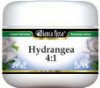 Hydrangea 4:1 Cream