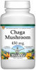 Chaga Mushroom - 450 mg