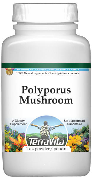 Polyporus Mushroom Powder