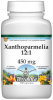 Xanthoparmelia 12:1 - 450 mg