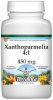 Xanthoparmelia 4:1 - 450 mg