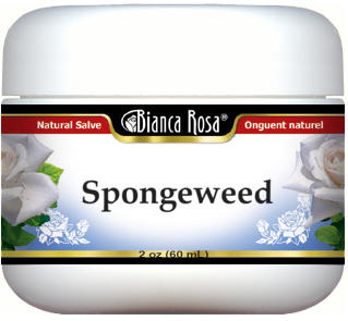 Spongeweed Salve