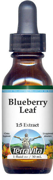 Blueberry Leaf Glycerite Liquid Extract (1:5)