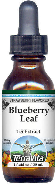 Blueberry Leaf Glycerite Liquid Extract (1:5)