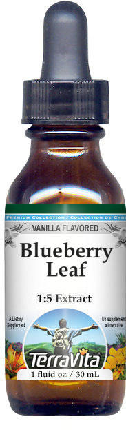 Blueberry Leaf Glycerite Liquid Extract (1:5)