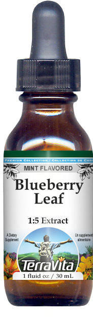 Blueberry Leaf Glycerite Liquid Extract (1:5)