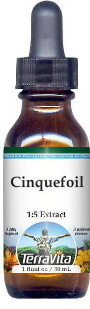 Cinquefoil Glycerite Liquid Extract (1:5)