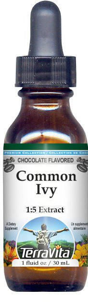 Common Ivy Glycerite Liquid Extract (1:5)