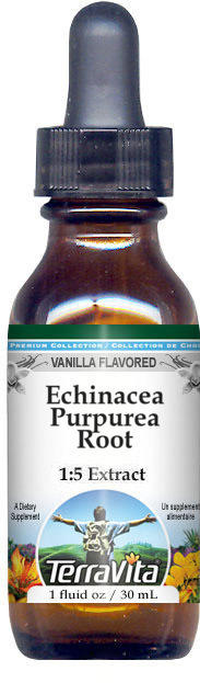 Echinacea Purpurea Root Glycerite Liquid Extract (1:5)