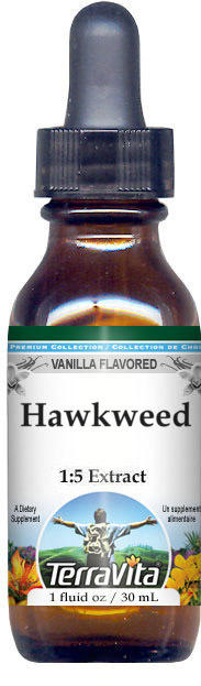 Hawkweed Glycerite Liquid Extract (1:5)