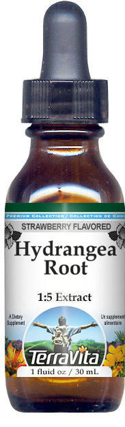 Hydrangea Root Glycerite Liquid Extract (1:5)