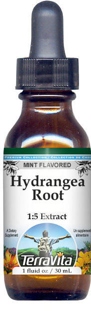 Hydrangea Root Glycerite Liquid Extract (1:5)