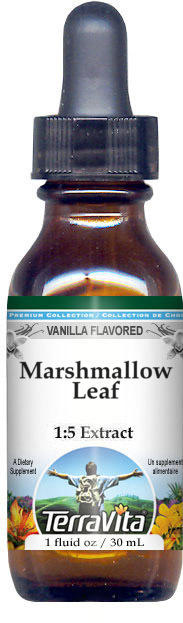 Marshmallow Leaf Glycerite Liquid Extract (1:5)