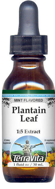 Plantain Leaf Glycerite Liquid Extract (1:5)