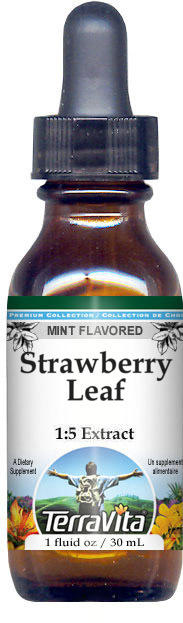 Strawberry Leaf Glycerite Liquid Extract (1:5)