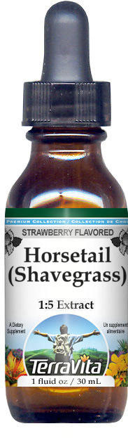 Horsetail (Shavegrass) Glycerite Liquid Extract (1:5)