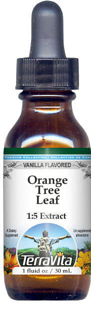 Orange Tree Leaf / Peel Glycerite Liquid Extract (1:5)