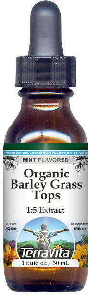 Barley Grass Tops Glycerite Liquid Extract (1:5)