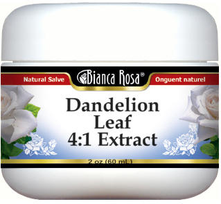 Dandelion Leaf 4:1 Extract Salve
