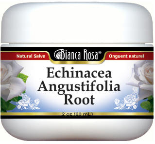 Echinacea Angustifolia Root Salve