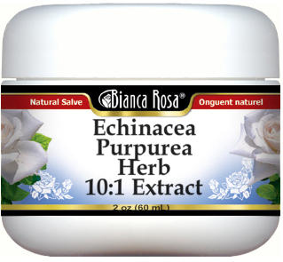 Echinacea Purpurea Herb 10:1 Extract Salve