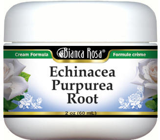 Echinacea Purpurea Root Cream
