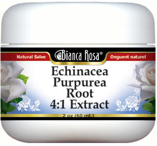 Echinacea Purpurea Root 4:1 Extract Salve