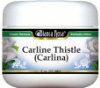 Carline Thistle (Carlina) Cream