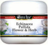 Echinacea Pallida Flower and Herb Salve