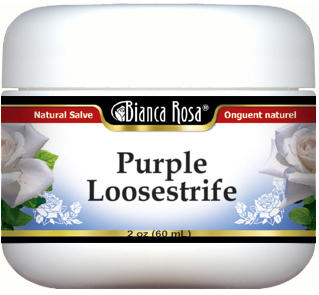 Purple Loosestrife Salve