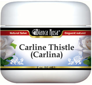 Carline Thistle (Carlina) Salve