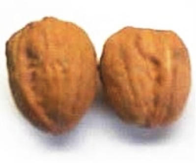 Walnuts (In Shell)