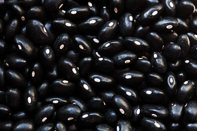 Black Turtle Beans