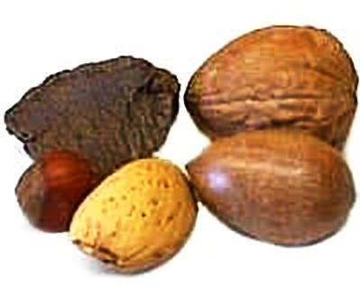 Mixed Nuts, In Shell, Raw