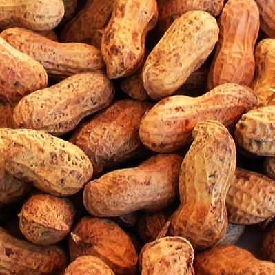 Peanuts, Roasted, In Shell, Unsalted (No Salt)