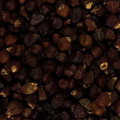 Grains of Paradise (Melegueta Pepper)