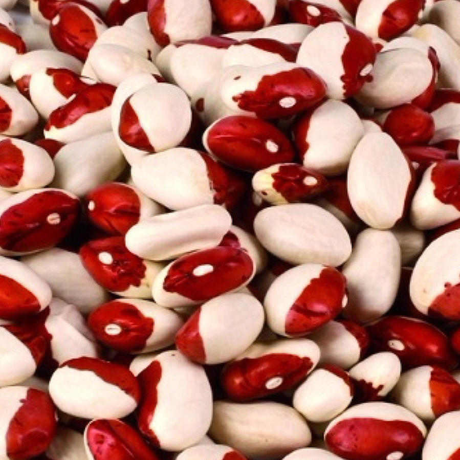 Calypso Beans, Red