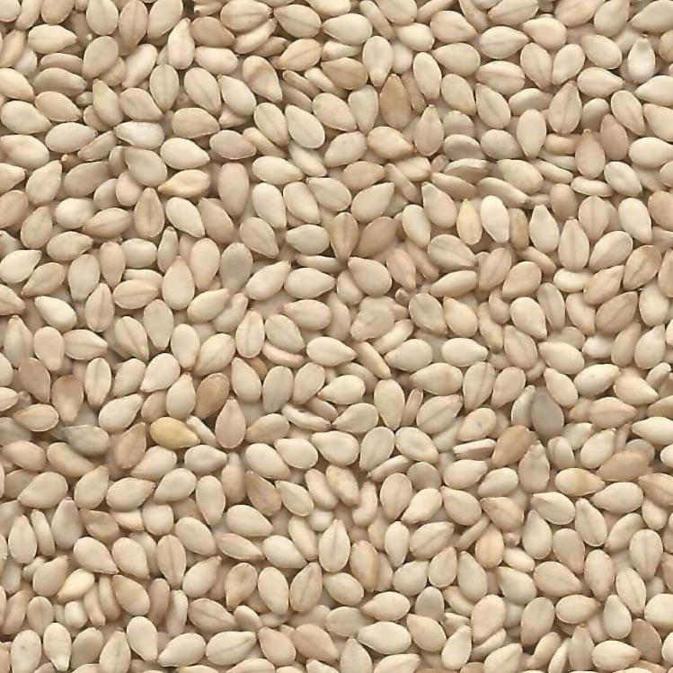 Sesame Seeds, Natural