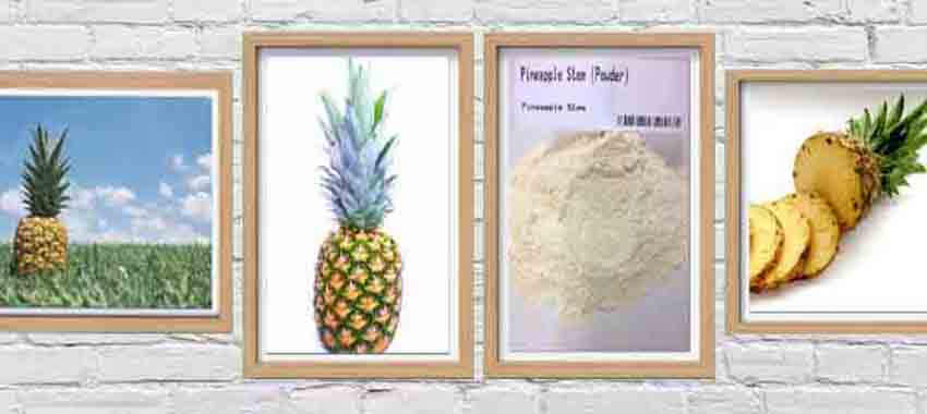 Pineapple Stem